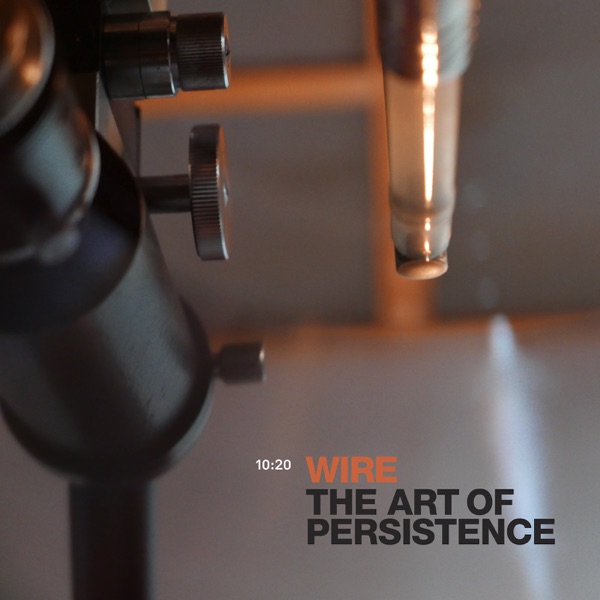 The Art of Persistence - Single album cover