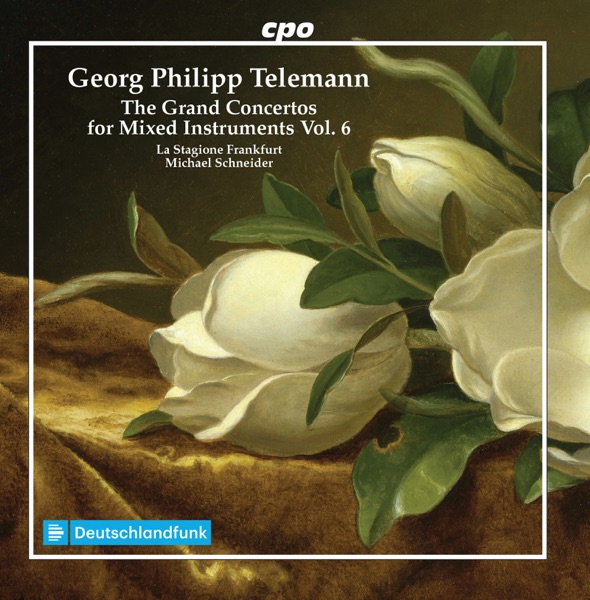 The Grand Concertos for Mixed Instruments, Vol. 6 album cover