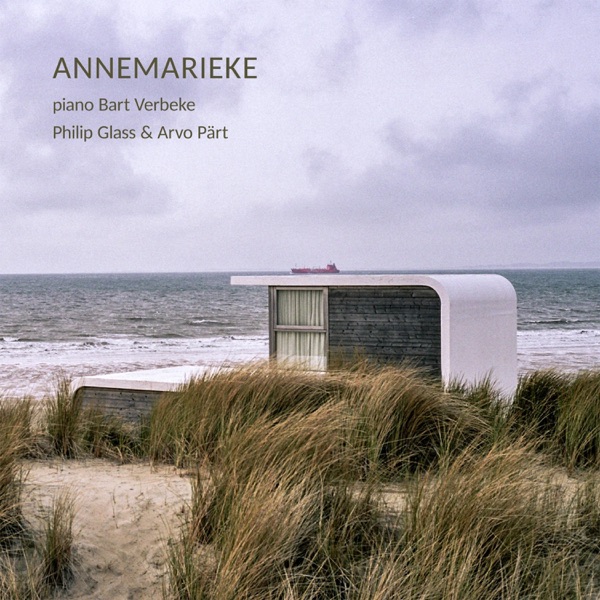 Annemarieke album cover