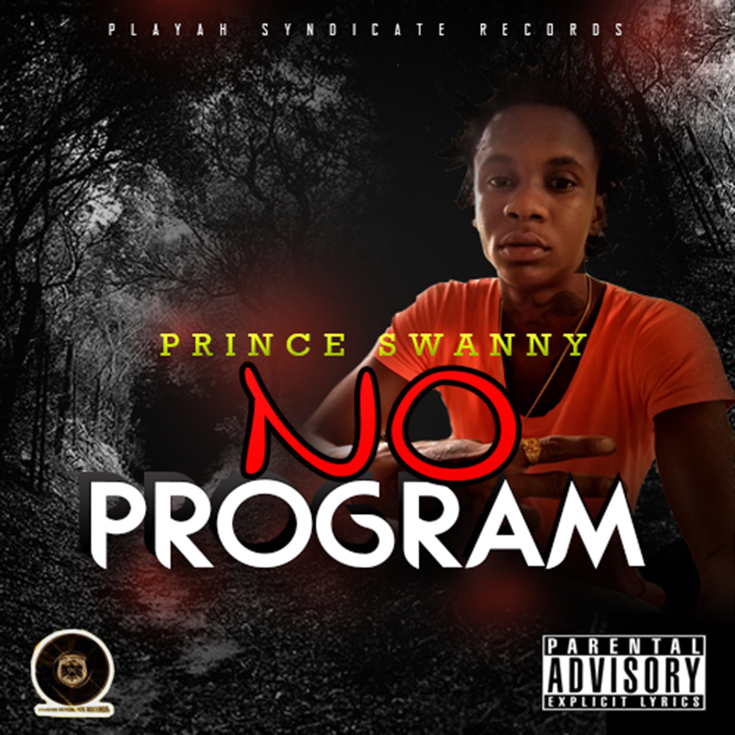 No Program - Single album cover