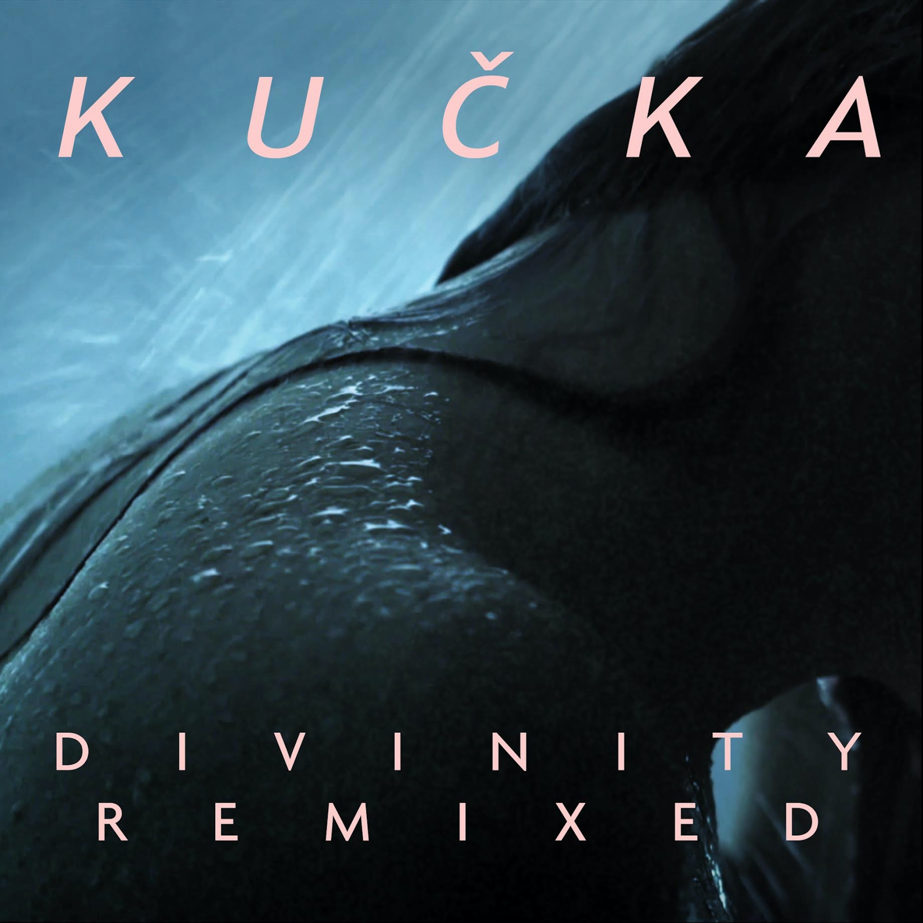 Divinity Remixed - Single album cover