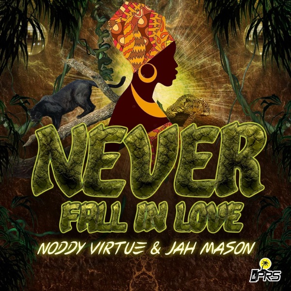 Never Fall in Love - Single album cover