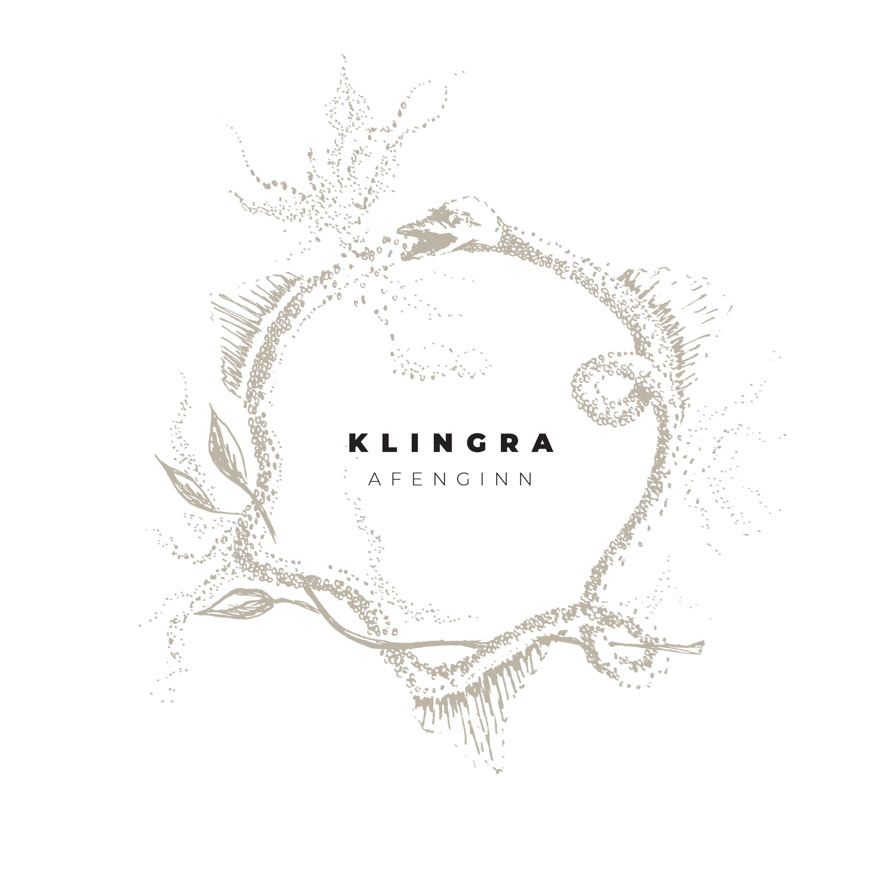 Klingra (feat. Danish String Quartet & Teitur) album cover