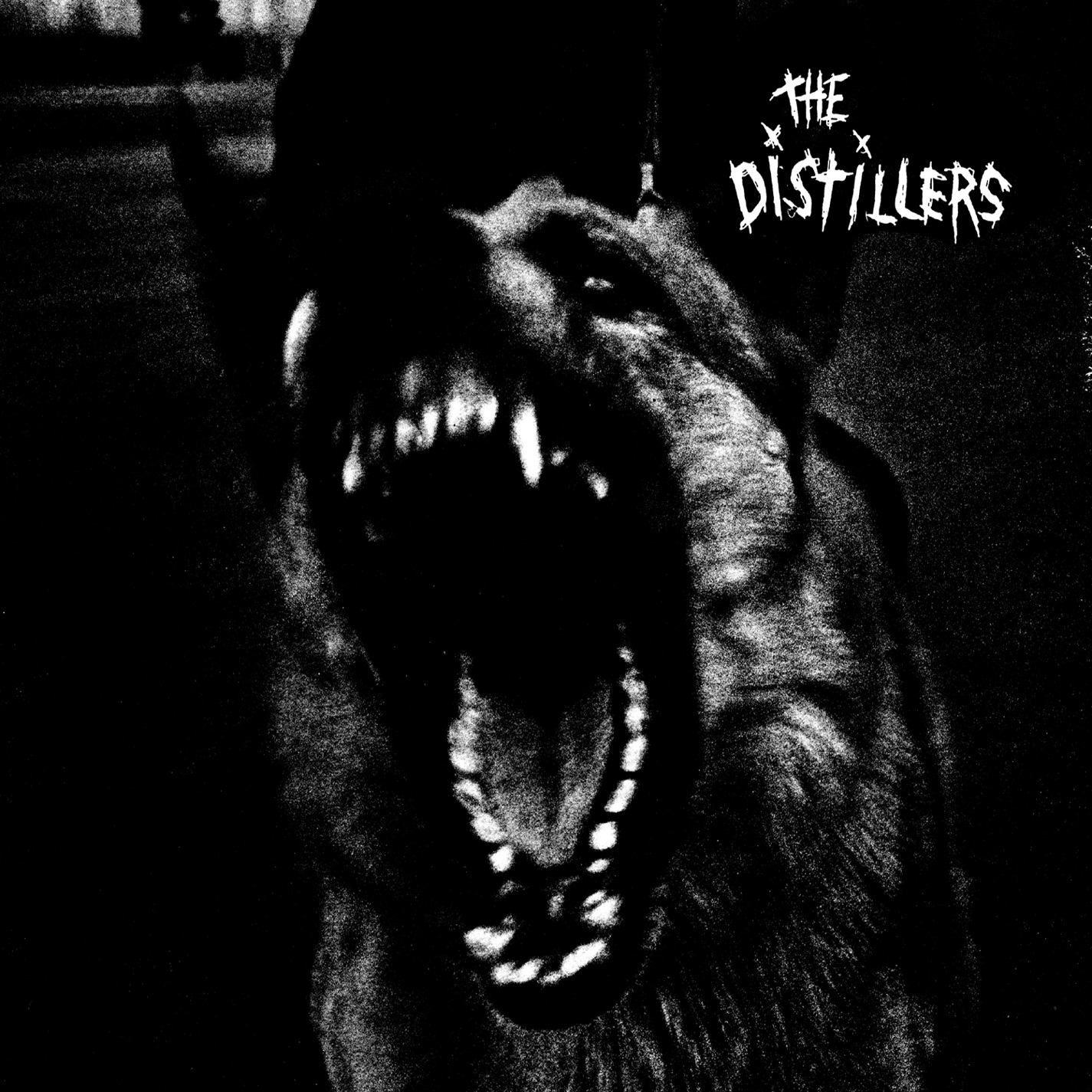 The Distillers album cover