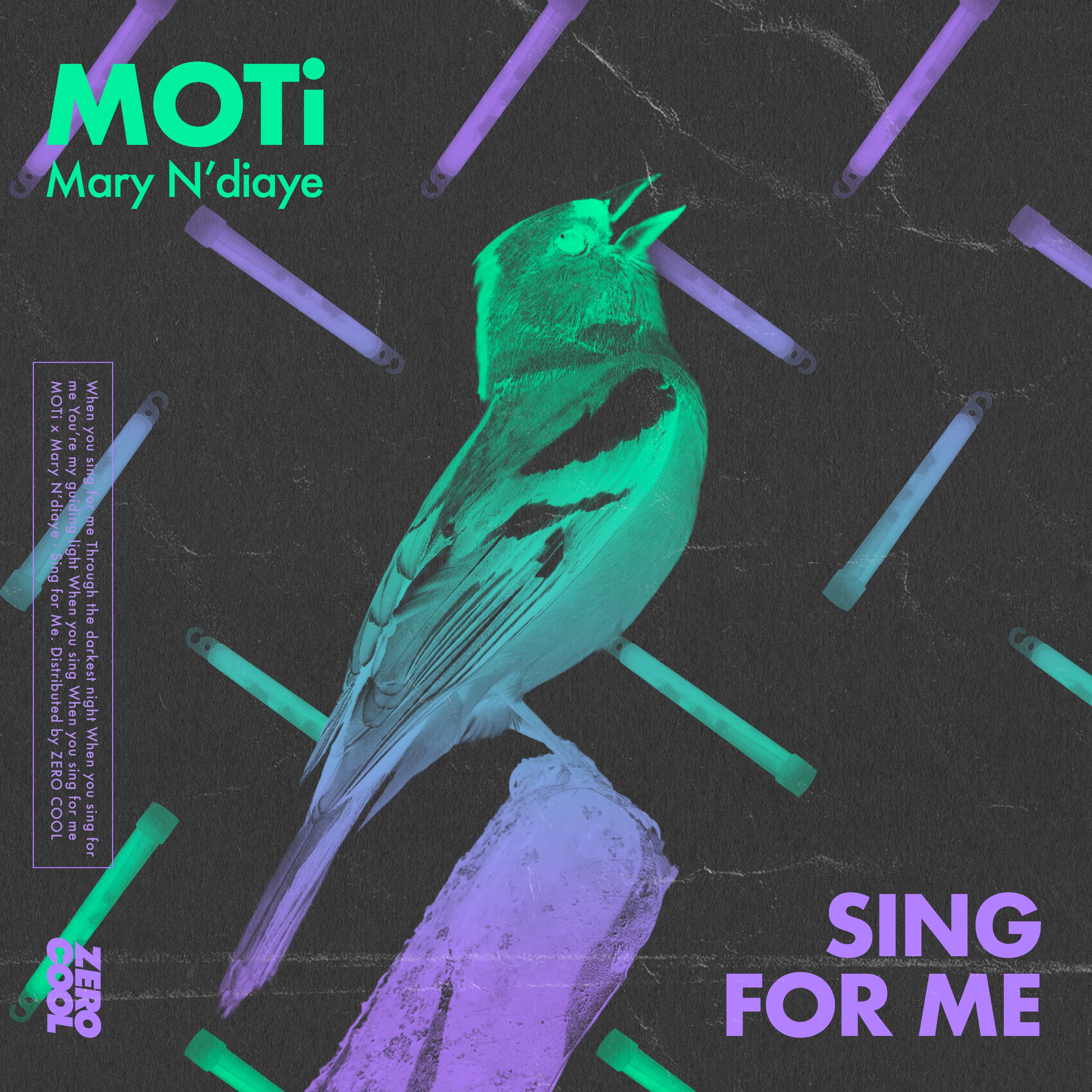 Sing For Me (with Mary N'diaye) - Single album cover