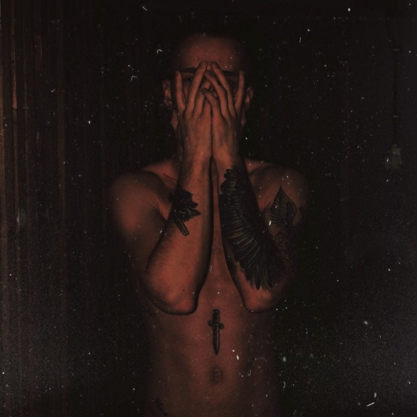 I Cried In the Night - Single album cover