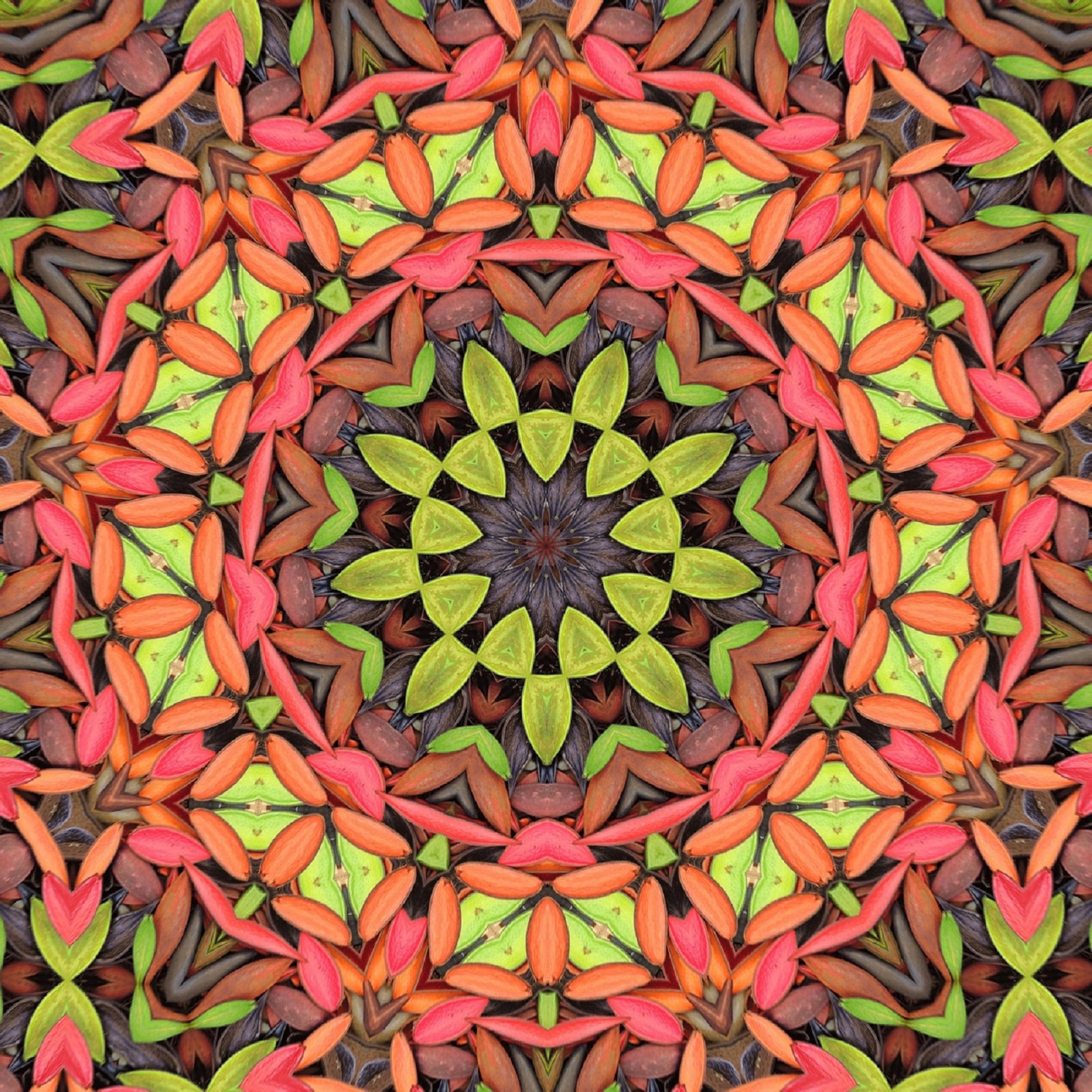 Feel - Single album cover