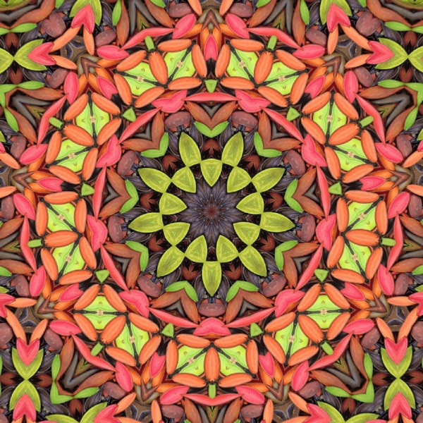 Feel - Single album cover