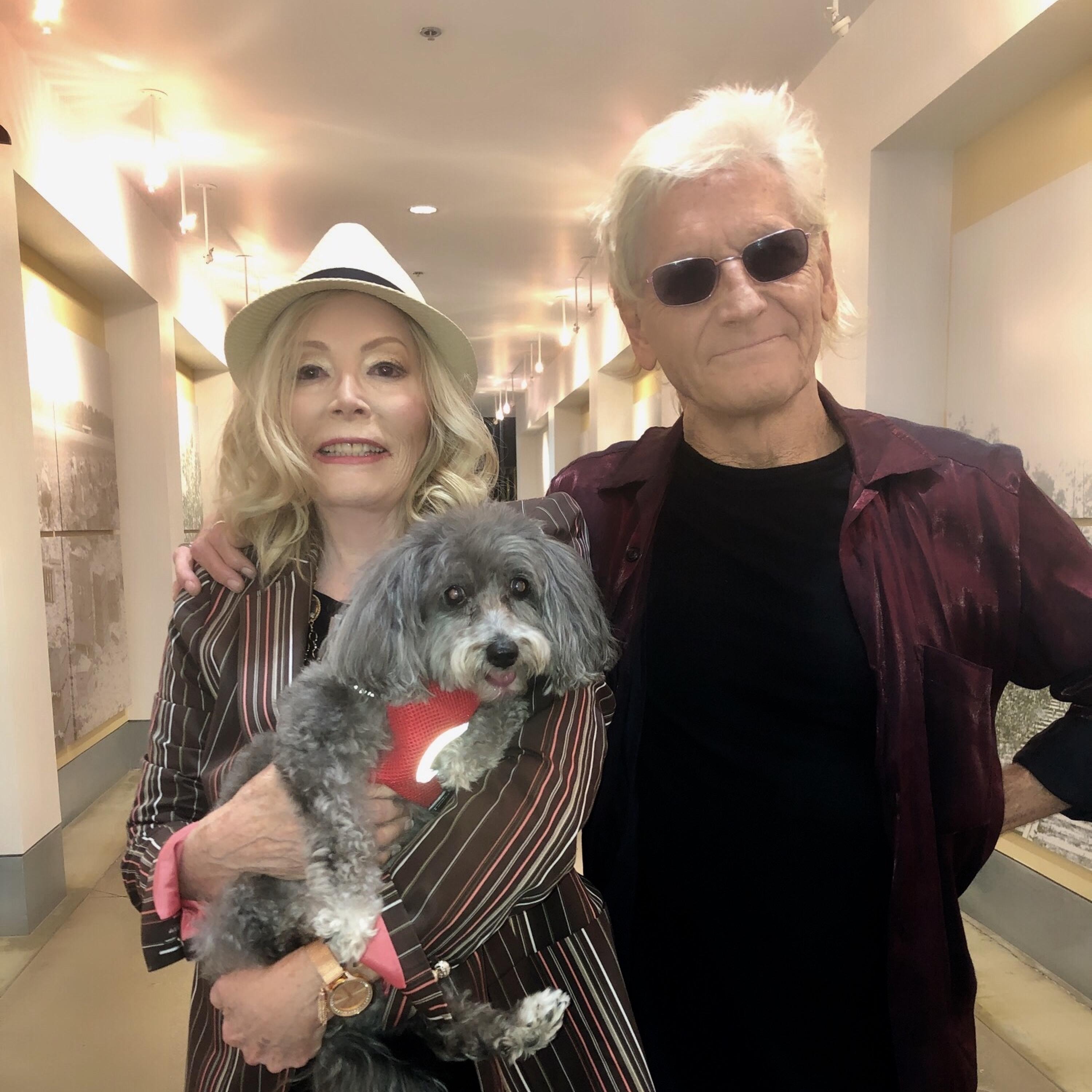 Daisy's Riding Shotgun (feat. Jim O"rourke) - Single album cover