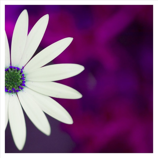 Watercolor Tears - Single album cover