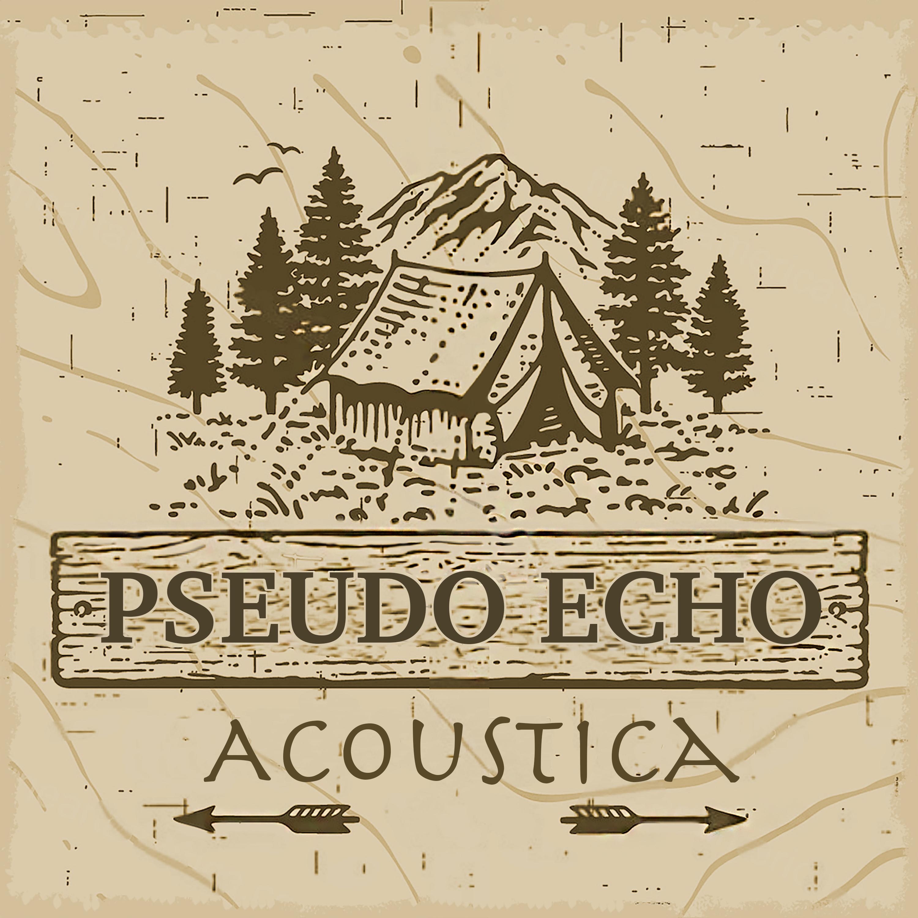 Acoustica album cover