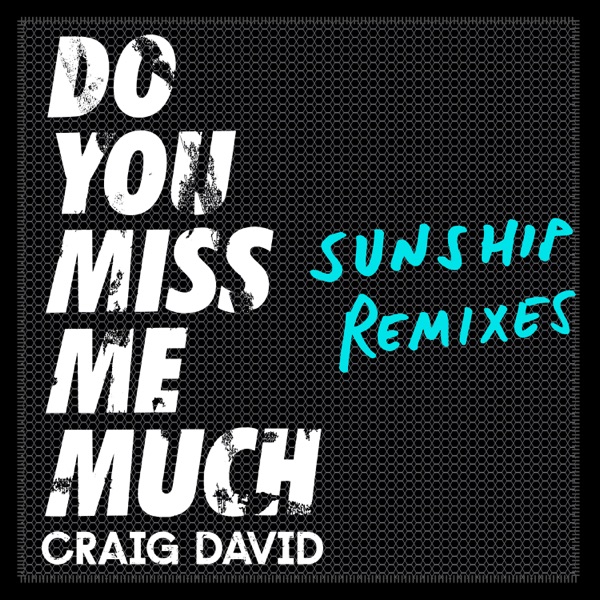 Do You Miss Me Much (Sunship Remixes) - Single album cover