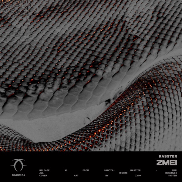 ZMEI - Single album cover