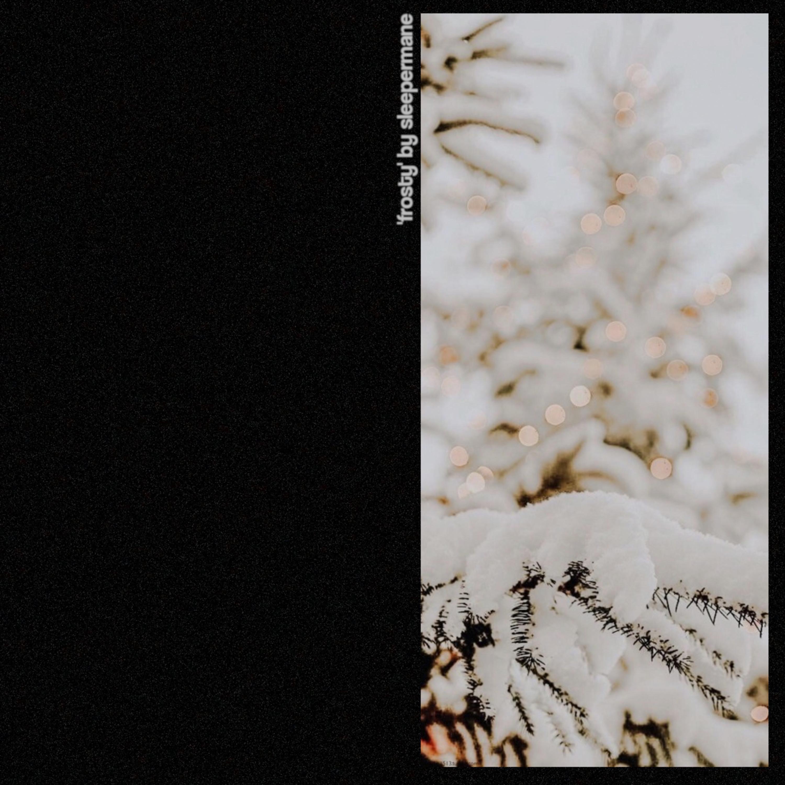 Frosty - Single album cover