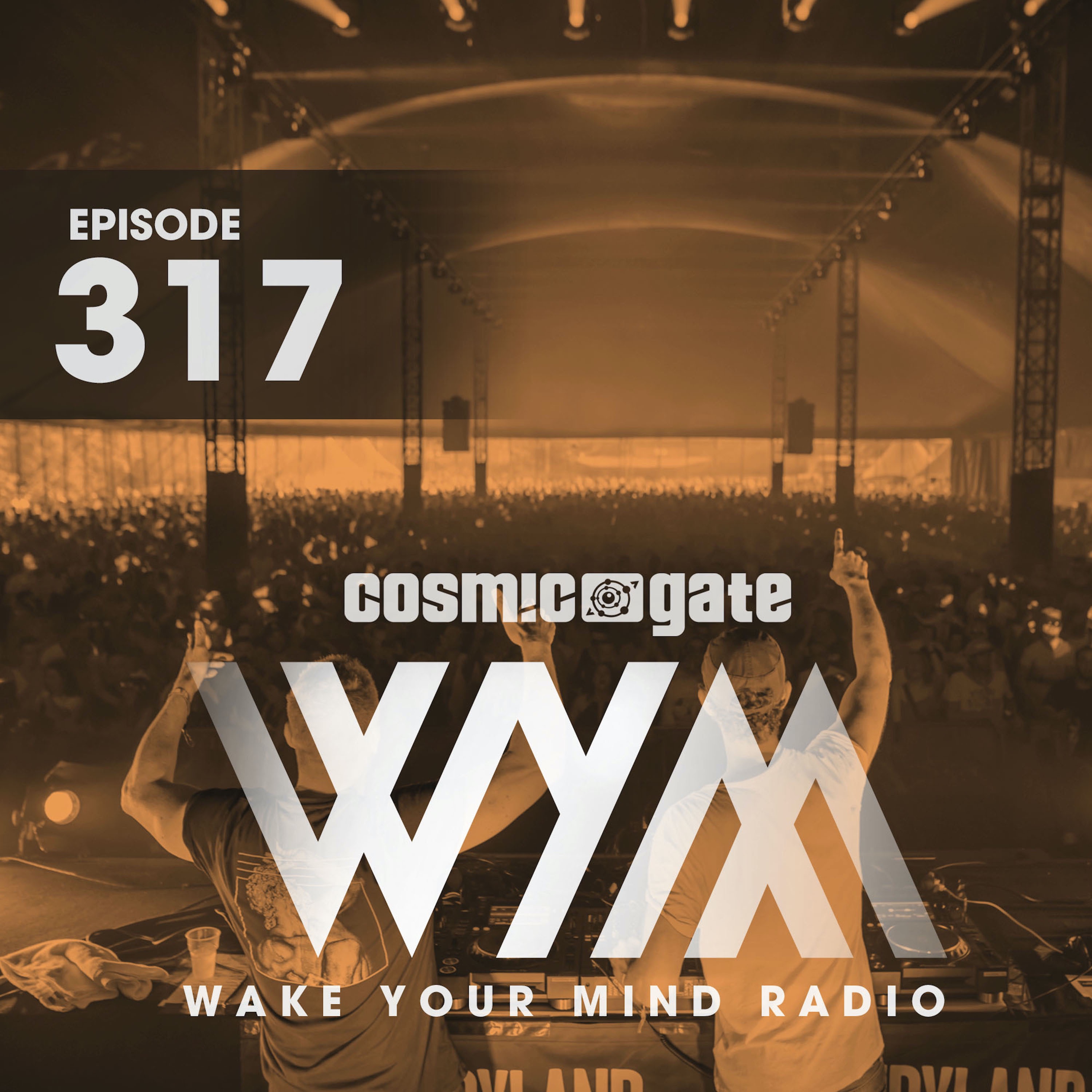Wake Your Mind Radio 317 album cover