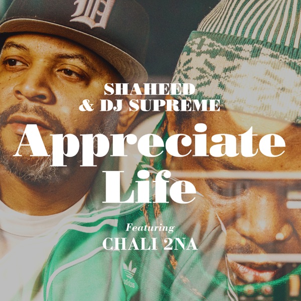 Appreciate Life (feat. Chali 2na) - Single album cover