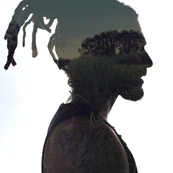 Zapach Lasu - Single album cover