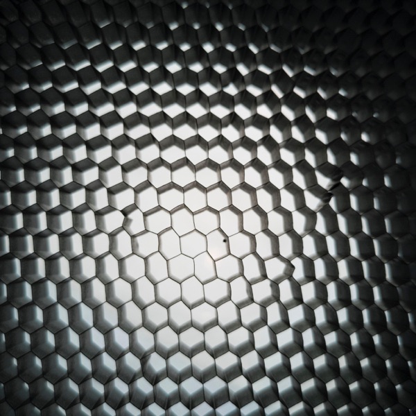 Thebeekeeper (feat. TSOL) - Single album cover