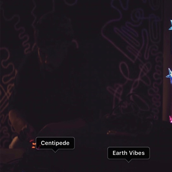 Earth Vibes album cover