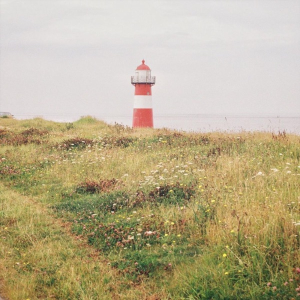 Feverfew - Single album cover