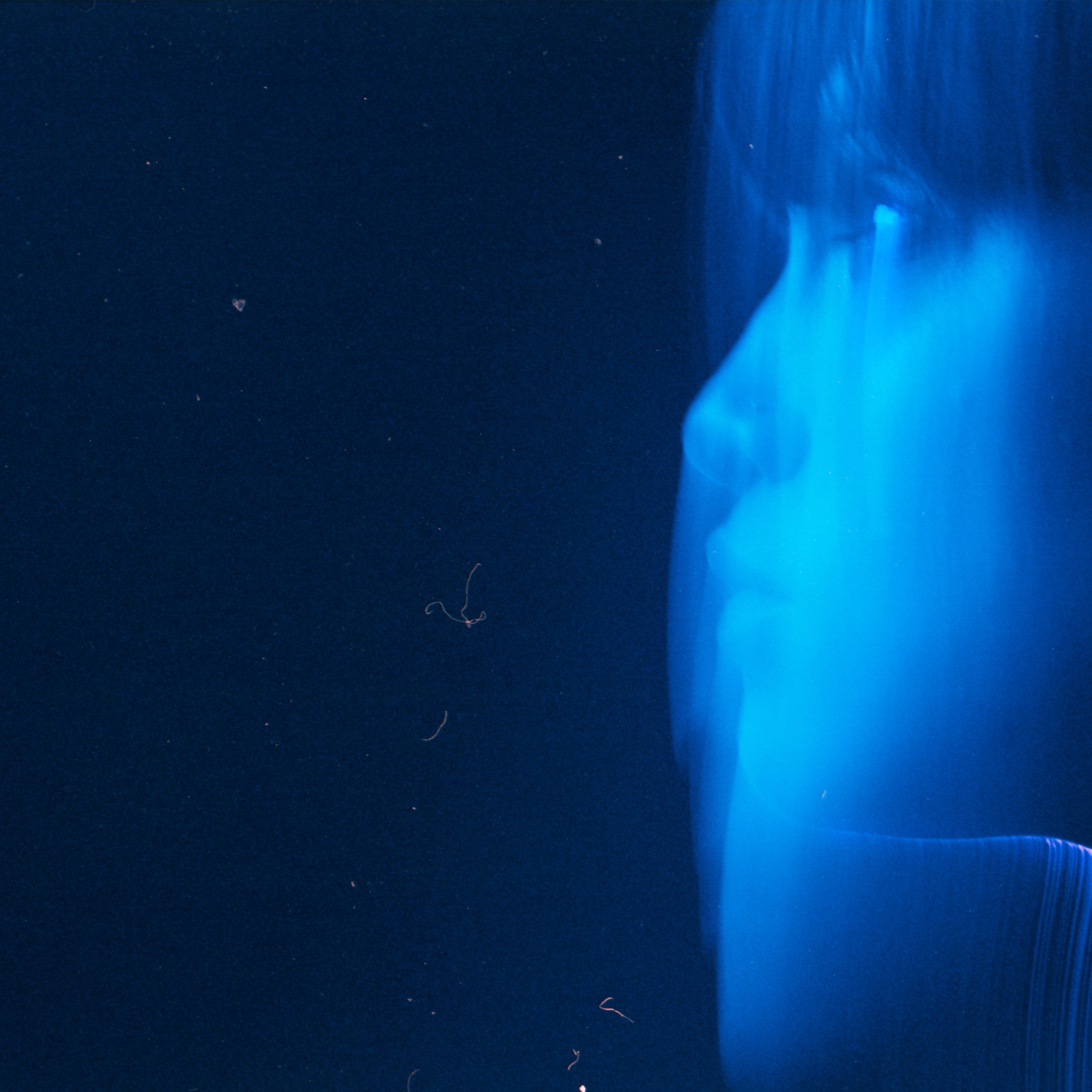 Redeye - Single album cover