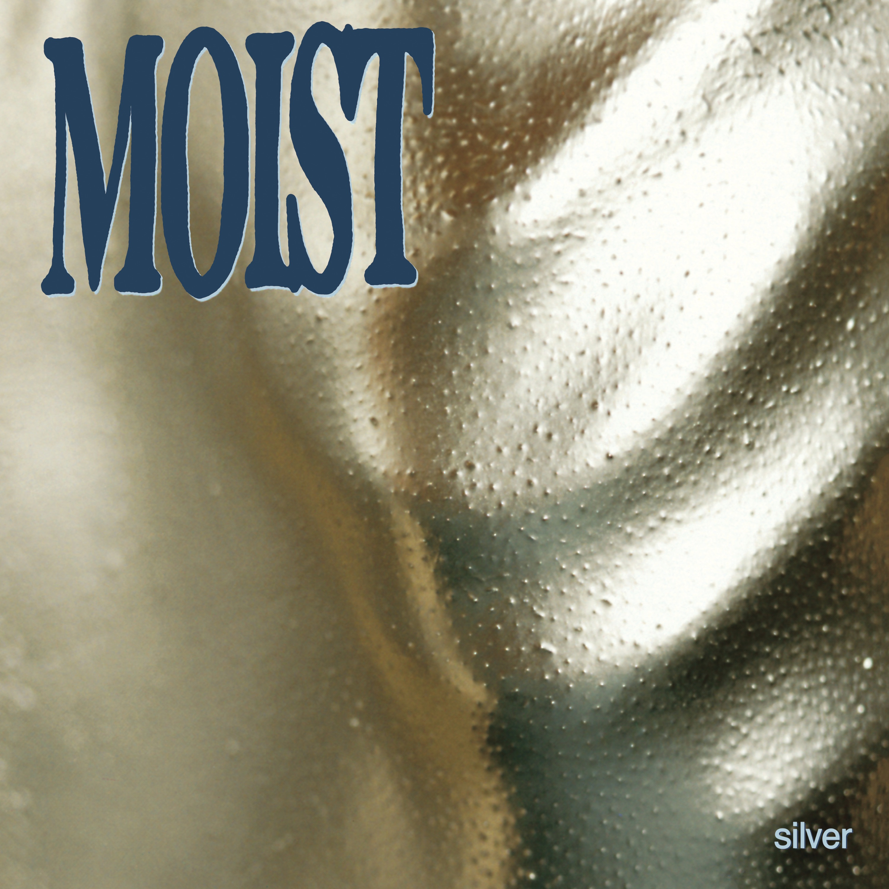 Silver (Deluxe) album cover