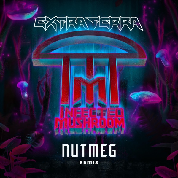 Nutmeg (Extra Terra Remix) - Single album cover