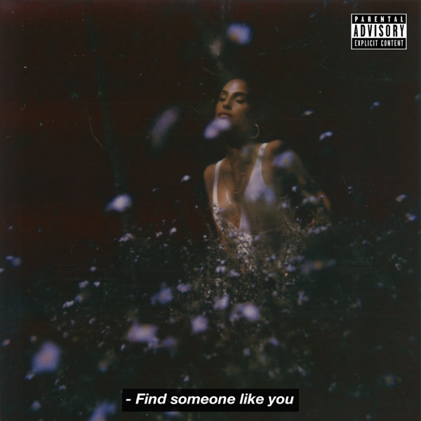 Find Someone Like You - Single album cover