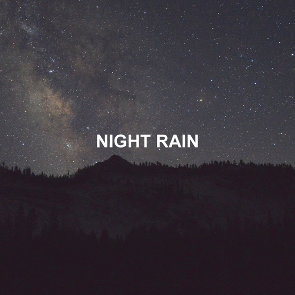 Night Rain album cover