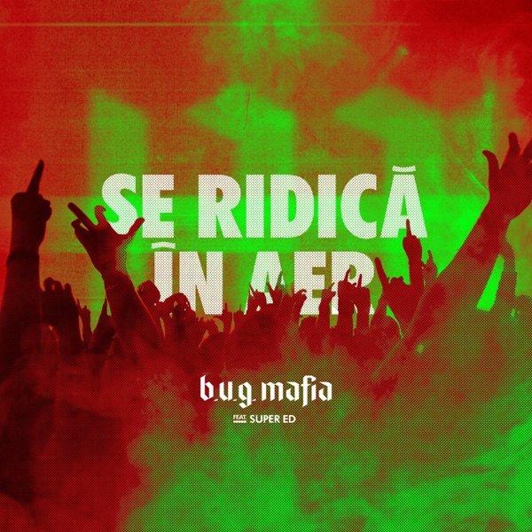 Se Ridica In Aer (feat. Super ED) - Single album cover