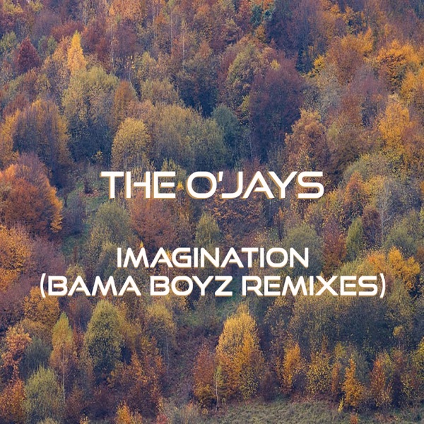 Imagination (Bama Boyz Remixes) - Single album cover