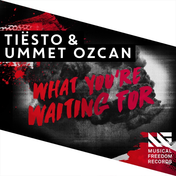 What You're Waiting For - Single album cover