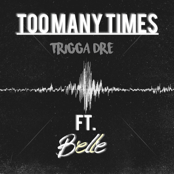 Too Many Times (feat. Belle) - Single album cover