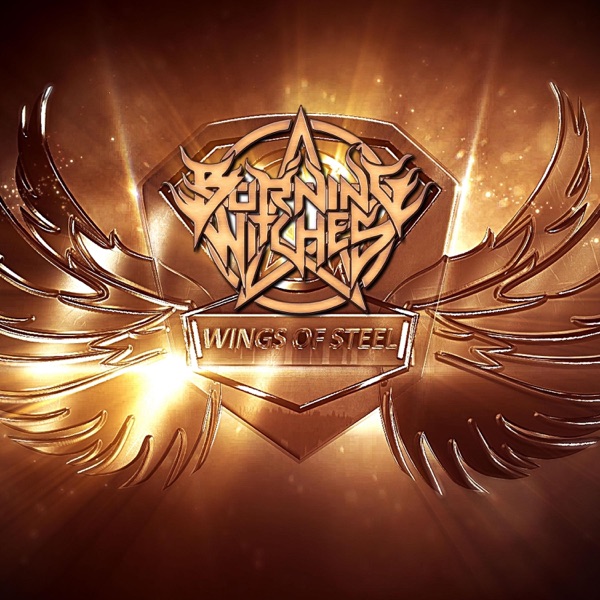 Wings of Steel - Single album cover