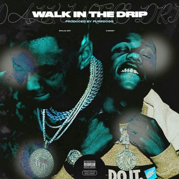 Walk in the Drip - Single album cover