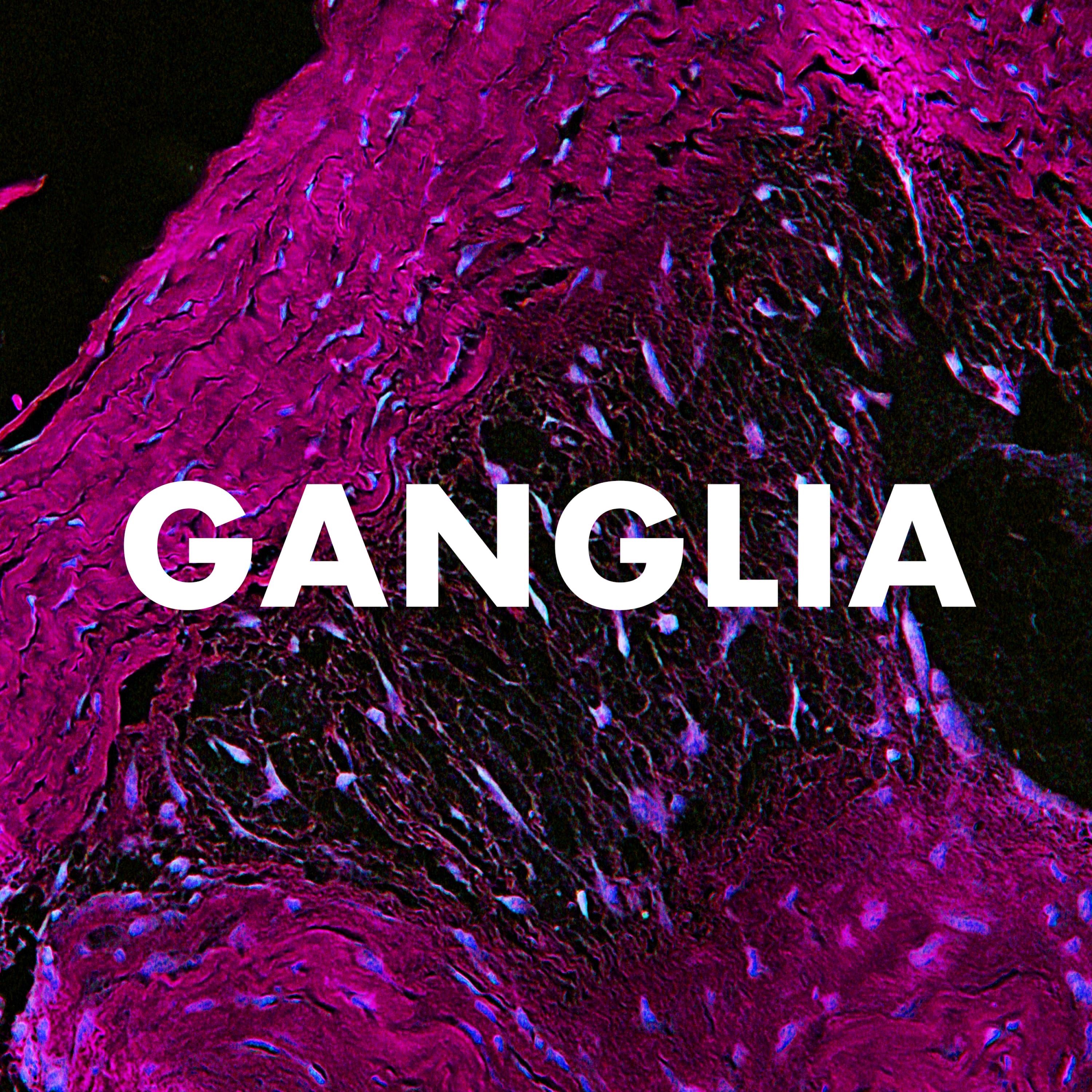 Ganglia album cover