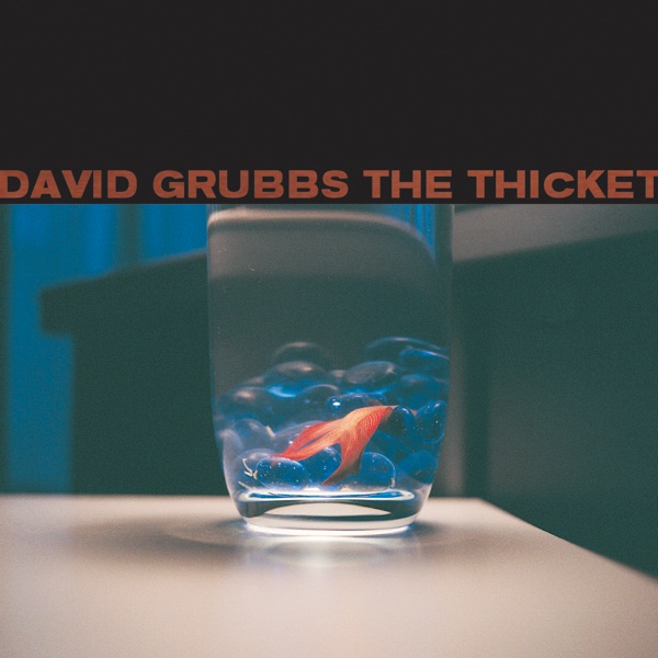 The Thicket album cover
