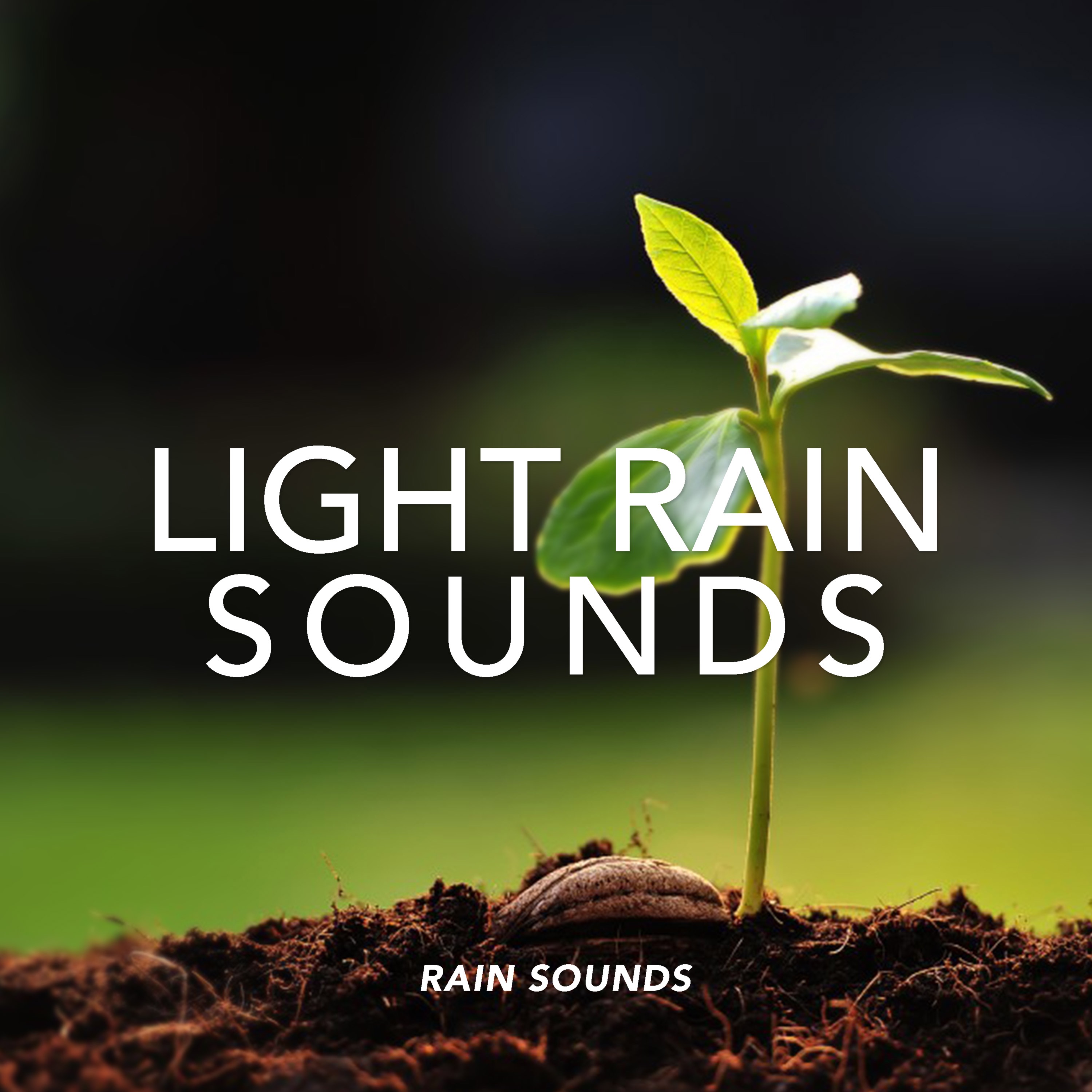Light Rain Sounds album cover