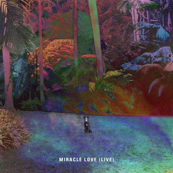 Miracle Love (Live) - Single album cover