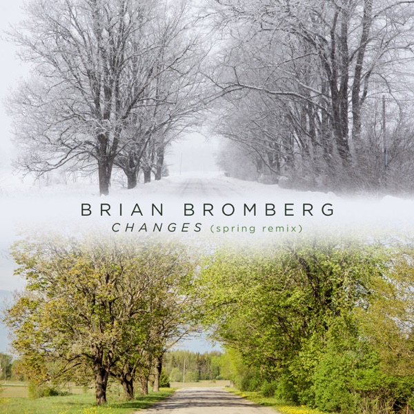 Changes (Spring Remix) - Single album cover