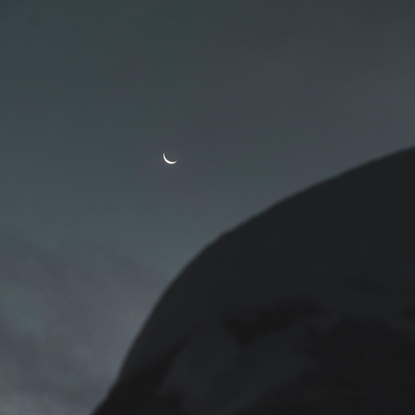 For You / I'm Sorry, I Tried - Single album cover