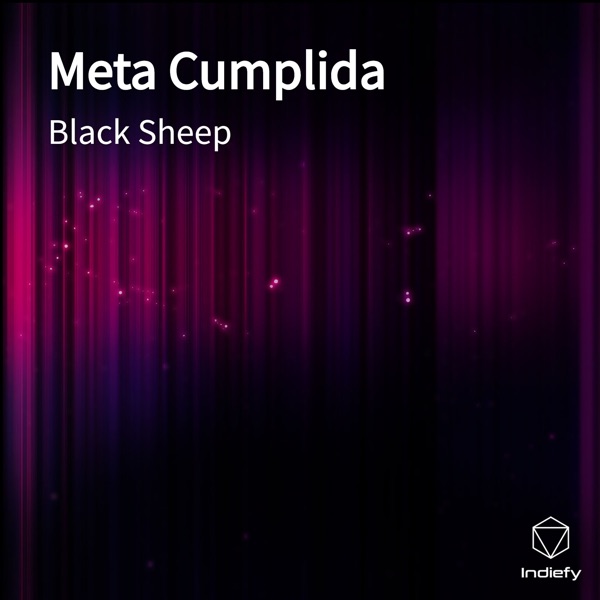 Meta Cumplida - Single album cover