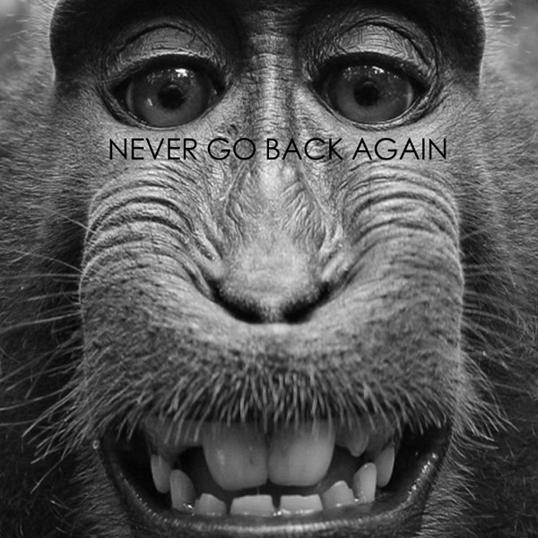 Never Go Back Again - Single album cover