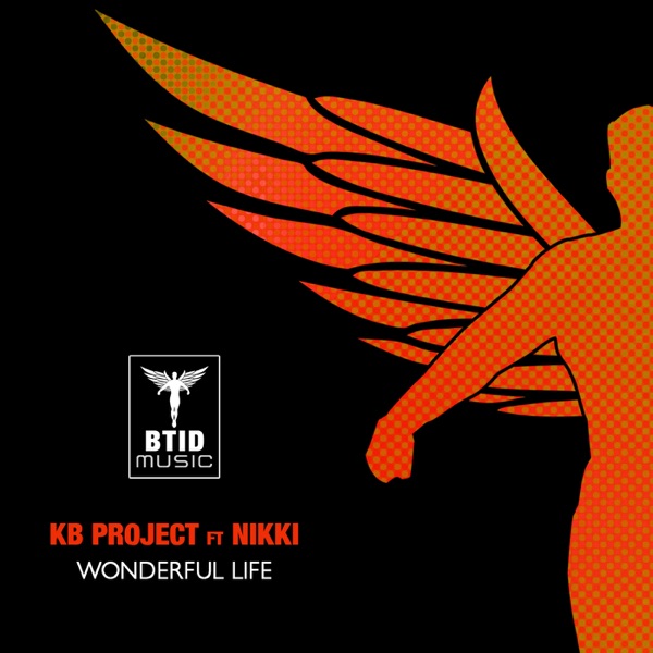 Wonderful Life (feat. Nikki) - Single album cover