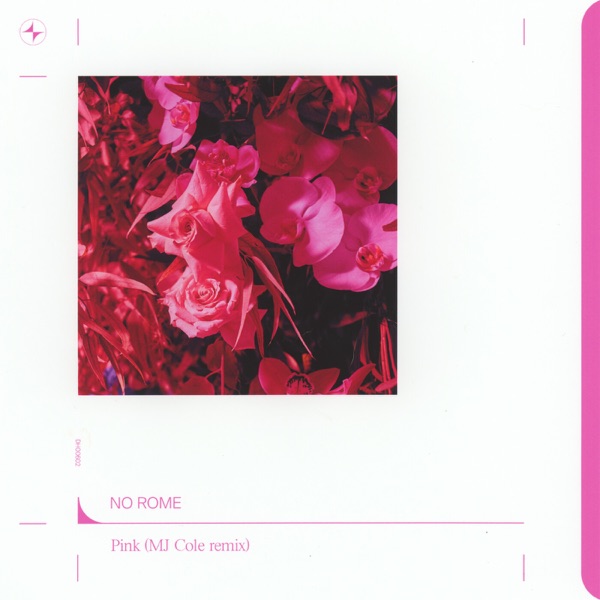 Pink (MJ Cole Remix) - Single album cover