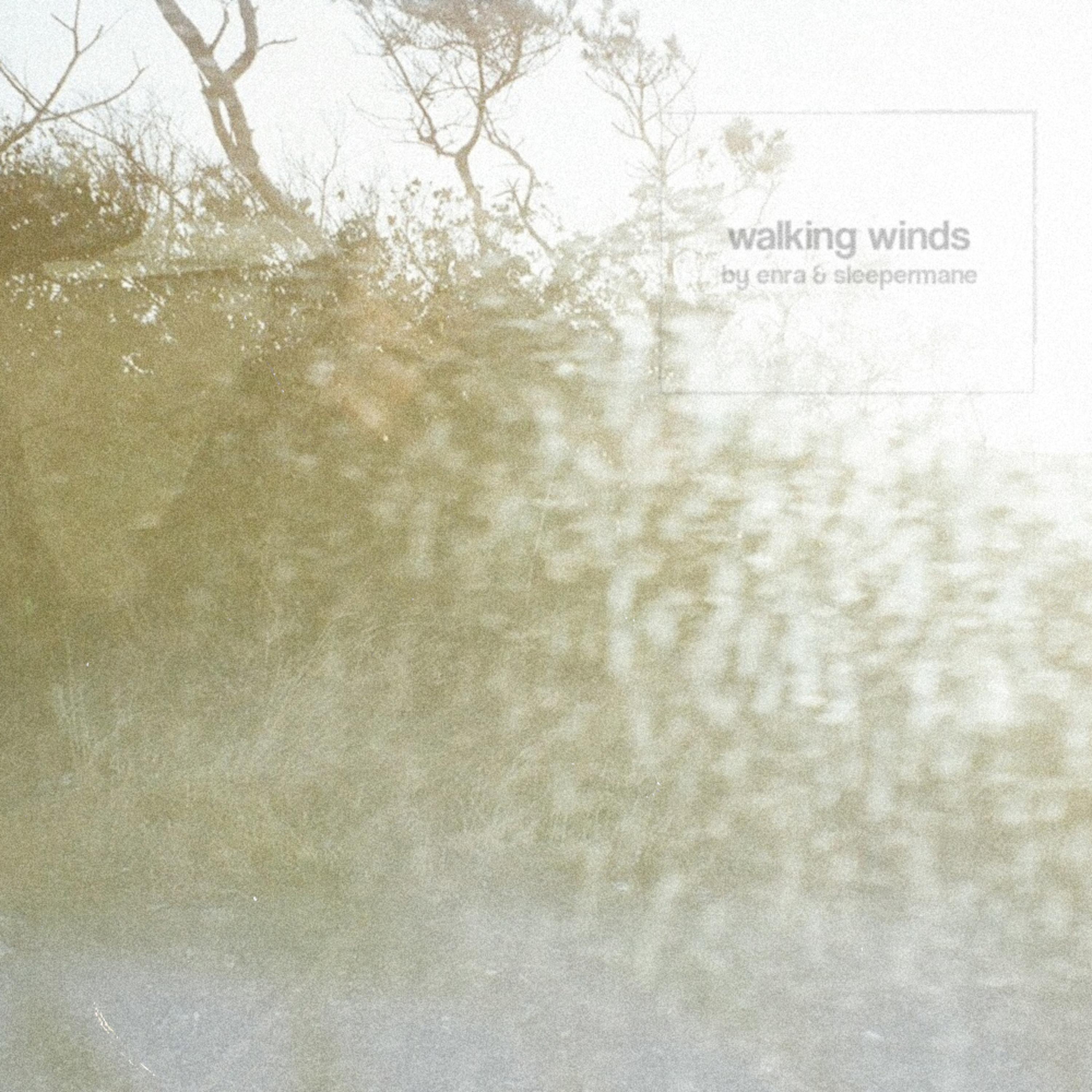 Walking Winds - Single album cover
