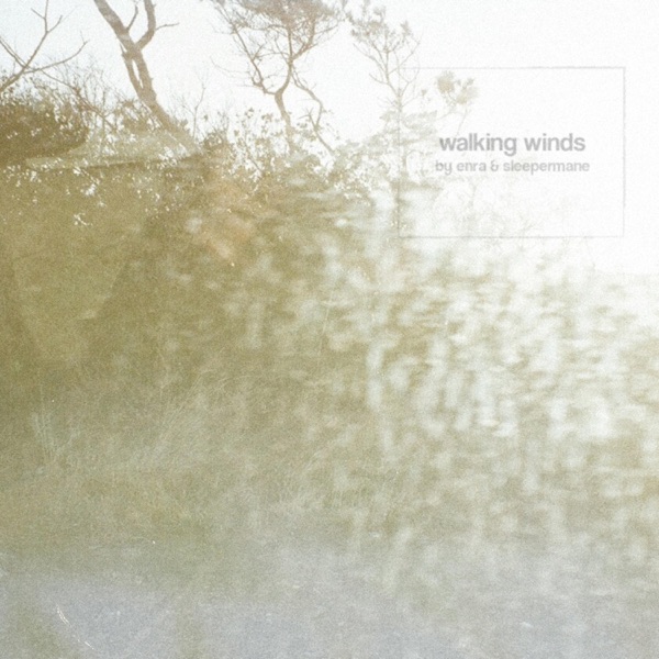 Walking Winds - Single album cover