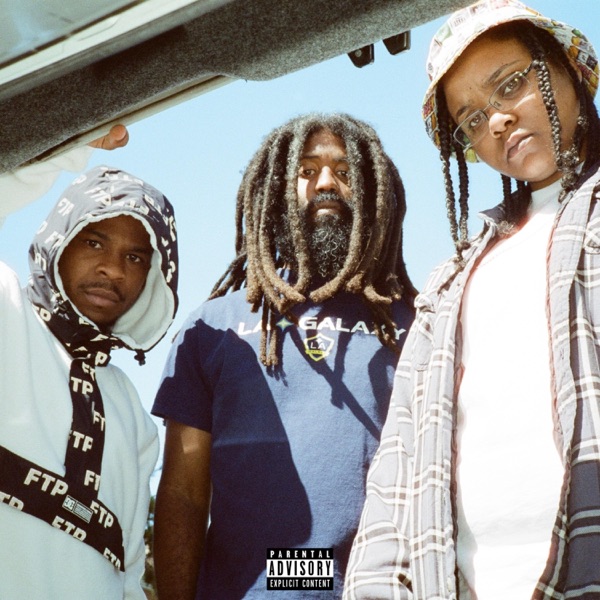 Waterfalls (feat. Murs & Pookie Blow) [Remix] - Single album cover