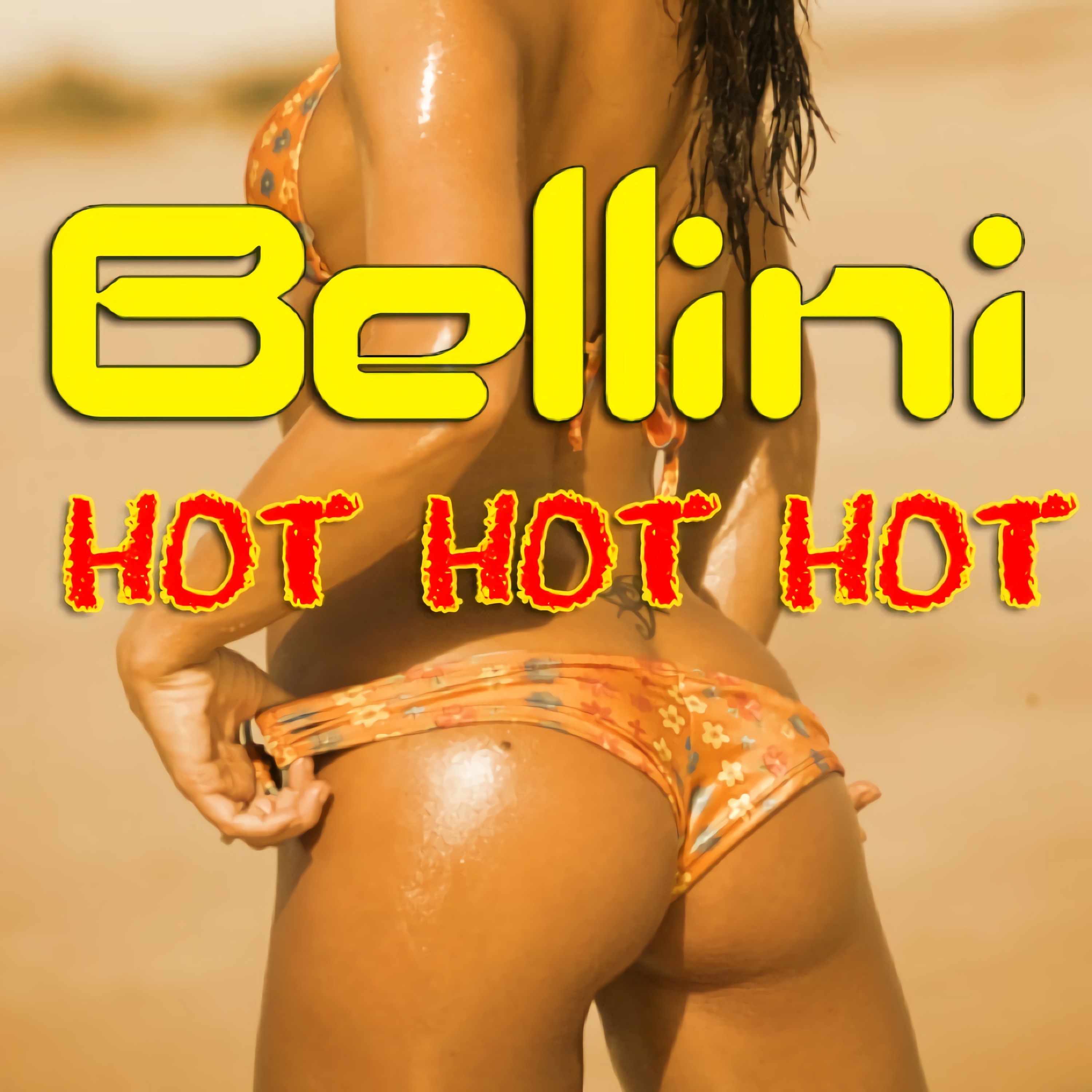 Hot Hot Hot - Single album cover