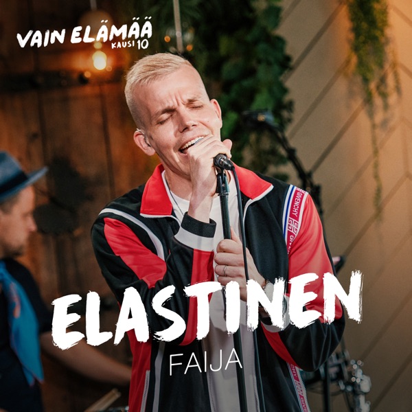 Faija (Vain elämää kausi 10) - Single album cover